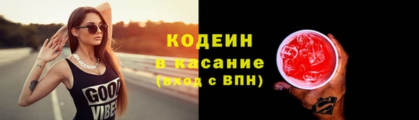сатива Арсеньев
